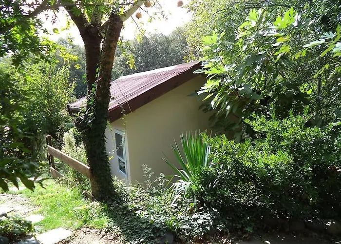 Summer Fani * 辛尼莫雷特