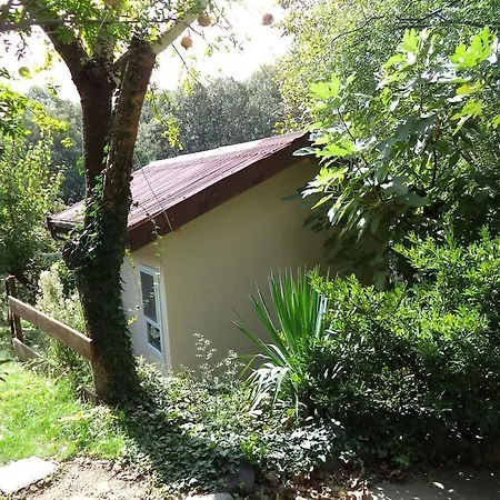 Summer Fani * Sinemoretz