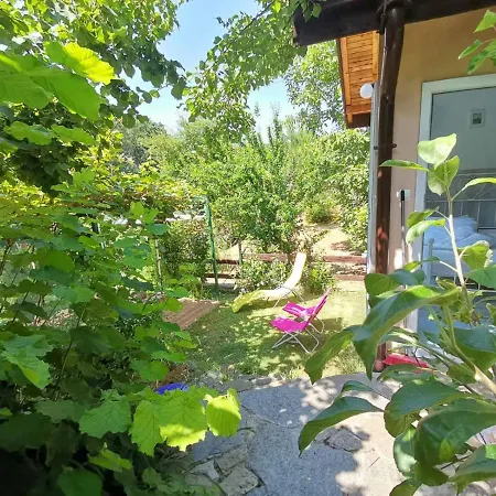 Summer Fani * Синеморец
