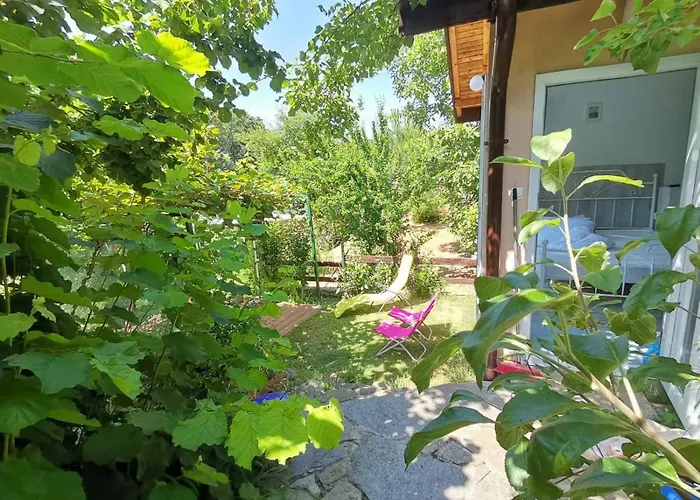 Summer Fani * Szinemorec